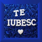 Azure Devotion Bouquet - Image 3