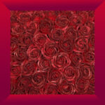 Crimson Desire Eternity Bouquet - Image 3