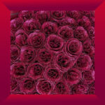 Crimson Glamour – 51 Full Glitter Silicone Rose Bouquet - Image 3
