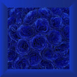Midnight Sapphire Eternity Bouquet - Image 3