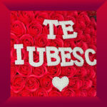 Te Iubesc 101 Soap Rose Luxury Bouquet - Image 3