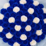 Royal Blue Kitty 61 Soap Rose